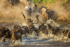 Národní rezervace Masai Mara na jihozápadě Keni. Foto: Freepik