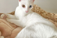 Foto: Petra Cavalieri