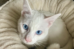 Foto: Petra Cavalieri