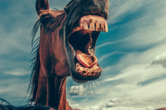 Foto: Unsplash