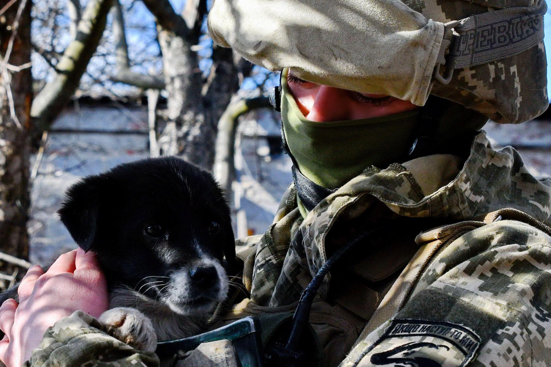 Ukrajinská vojačka našla opuštěné štěně na samé frontové linii ve vesnici Verkhnotoretske na východní Ukrajině.  Zdroj: SOPA Images Limited / Alamy Live News
