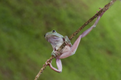 Nejprve trocha gynmastiky... Foto: Freepik