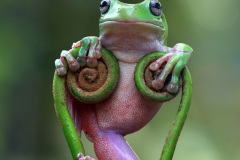 ...pak cvičení na kruzích... Foto: Freepik