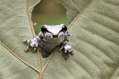 ...nakonec karate. Foto: Freepik