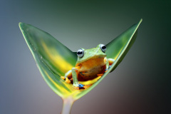 V křesle pro hosta. Foto: Freepik