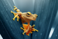 Co asi dělají sousedi? Foto: Freepik