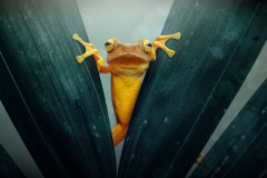 Aha, sledují detektivku! Foto: Freepik