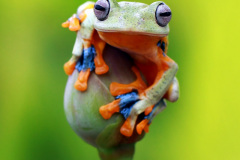 Příprava na skok. Foto: Freepik