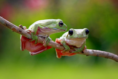 Půjdeš si se mnou večer skočit? Foto: Freepik