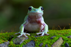 Nemáš něco k snědku? Foto: Freepik