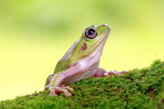 Přijde můj vysněný princ? Foto: Freepik