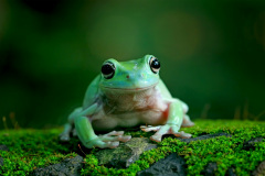 Sluší mi to, že? Foto: Freepik