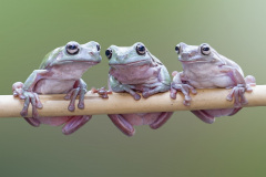 Proboha, co to má ta sousedka na sobě?! Foto: Freepik