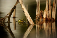 Tudy se jde do síně slávy? Foto: Pixabay
