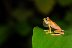 Při hodině zpěvu. Foto: Freepik