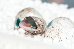 Foto: Unsplash
