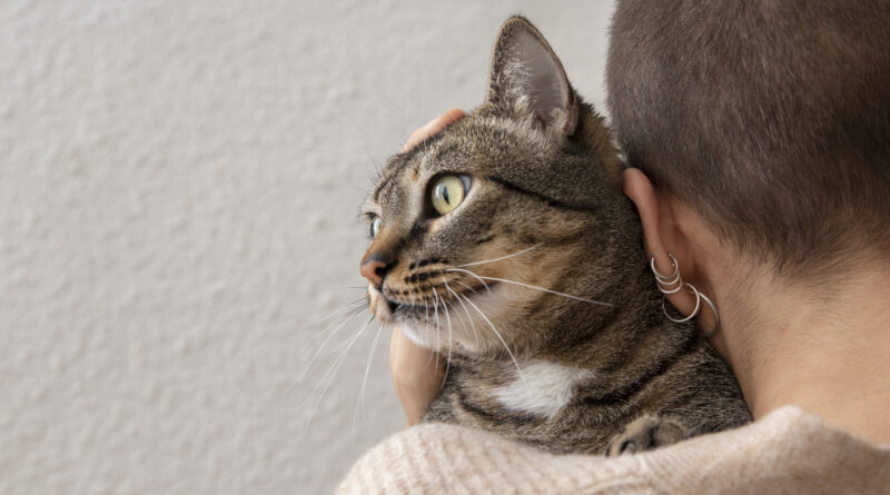 Kočka může člověku zachránit život. Rozpozná rakovinu, potvrdili lékaři