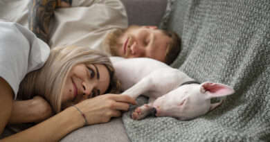 Nesneseš se s mým mazlíčkem? Tak sbohem, řekla by víc než polovina chovatelů Nesneseš se s mým mazlíčkem? Tak sbohem, řekla by víc než polovina chovatelů